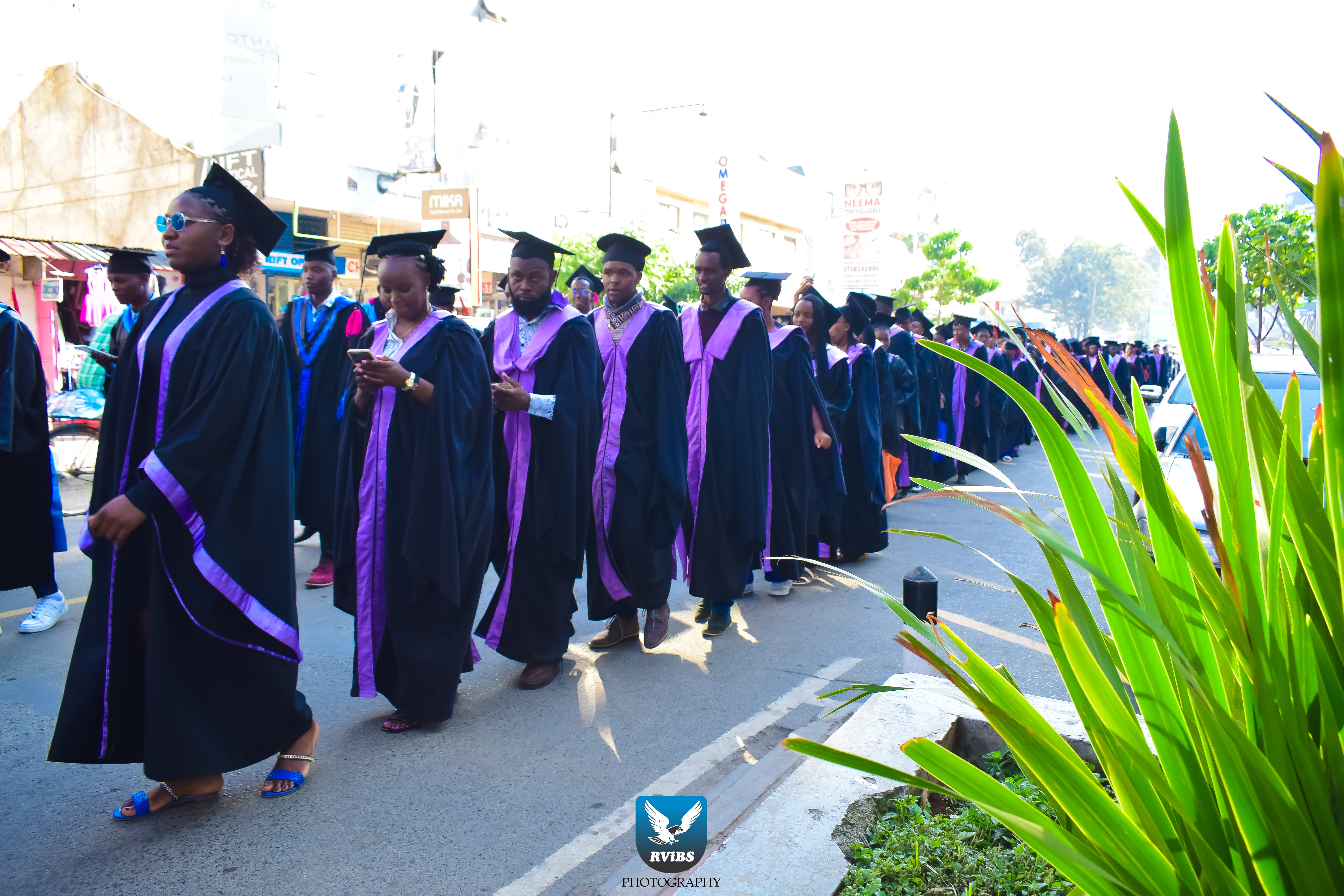 RVIBS learners exploring career options